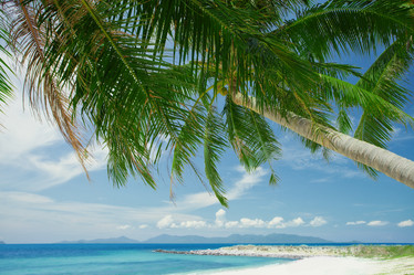 Similar image 2323736