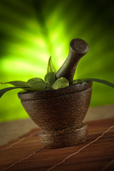 Similar image 2323829