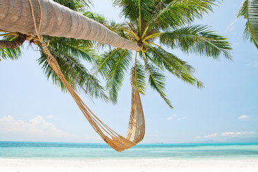 Similar image 2323917