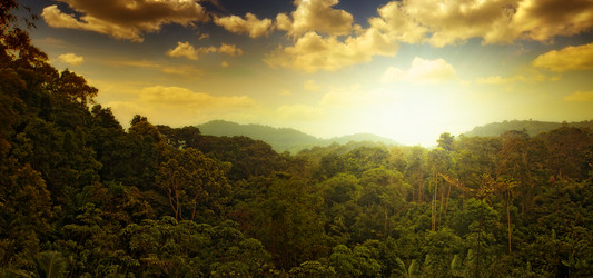 Similar image 2323955