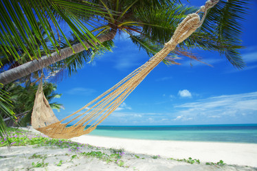 Similar image 2323957