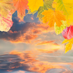 Similar image 2325373