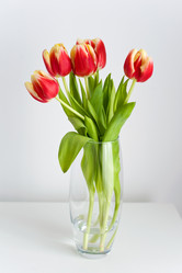 Similar image 2327023