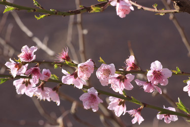 Similar image 2327113