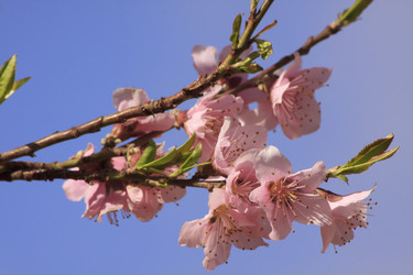 Similar image 2327119