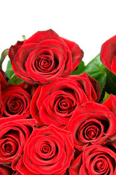 Similar image 2327195