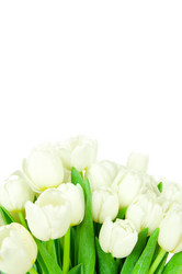 Similar image 2327197