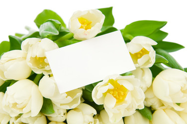 Similar image 2327200