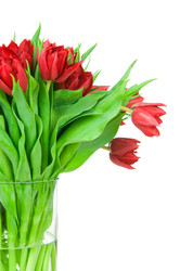 Similar image 2327202