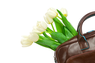 Similar image 2327206