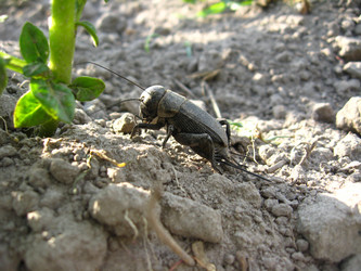 Similar image 2327207