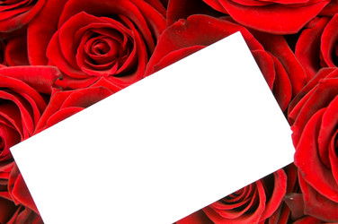 Similar image 2327208