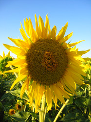 Similar image 2327215