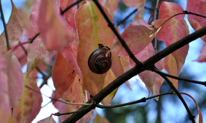 Similar image 2327268