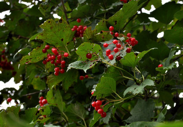 Similar image 2327269