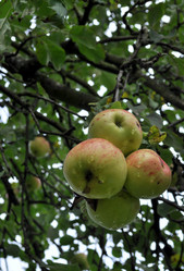 Similar image 2327272