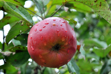 Similar image 2327274