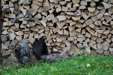 Similar image 2327286