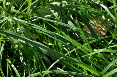 Similar image 2327289