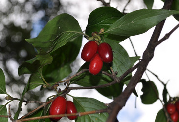 Similar image 2327291