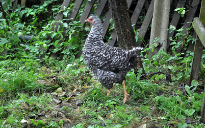 Similar image 2327293