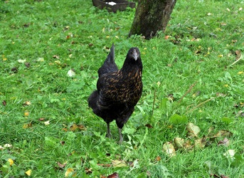 Similar image 2327296