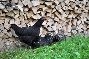 Similar image 2327301