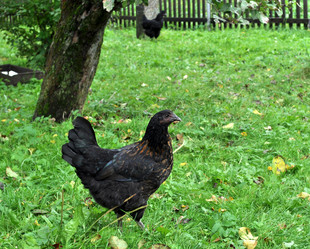 Similar image 2327303