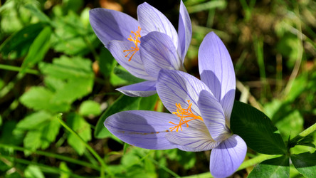 Similar image 2327317