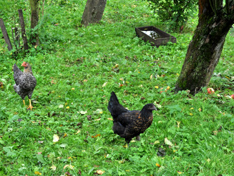 Similar image 2327321