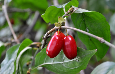 Similar image 2327323