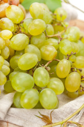 Similar image 2327462