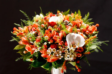 Similar image 2327511