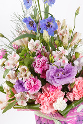 Similar image 2327644