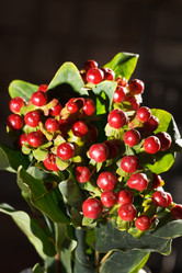 Similar image 2327652