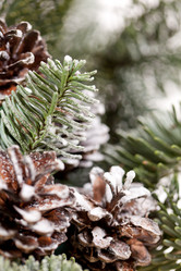 Similar image 2327655