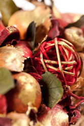 Similar image 2327656