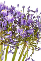 Similar image 2327657