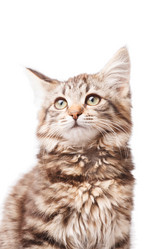 Similar image 2327675