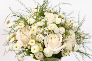 Similar image 2327679