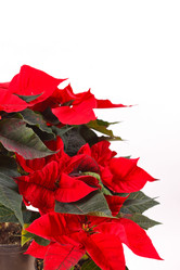 Similar image 2327680