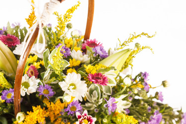 Similar image 2327688