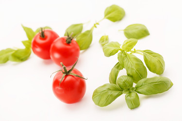 Similar image 2327694