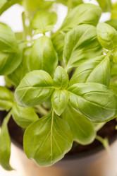 Similar image 2327696