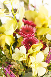 Similar image 2327700