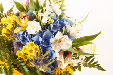 Similar image 2327702