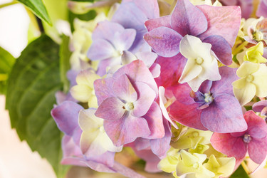 Similar image 2327703