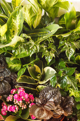 Similar image 2327705