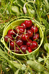 Similar image 2327709