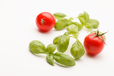 Similar image 2327720